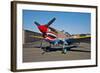 Nose Art on a Curtiss P-40E Warhawk-null-Framed Photographic Print