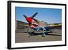 Nose Art on a Curtiss P-40E Warhawk-null-Framed Photographic Print
