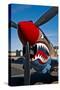 Nose Art on a Curtiss P-40E Warhawk-null-Stretched Canvas