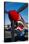 Nose Art on a Curtiss P-40E Warhawk-null-Stretched Canvas