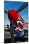 Nose Art on a Curtiss P-40E Warhawk-null-Mounted Photographic Print