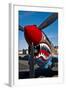 Nose Art on a Curtiss P-40E Warhawk-null-Framed Photographic Print