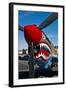 Nose Art on a Curtiss P-40E Warhawk-null-Framed Photographic Print