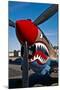 Nose Art on a Curtiss P-40E Warhawk-null-Mounted Photographic Print
