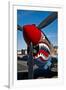 Nose Art on a Curtiss P-40E Warhawk-null-Framed Photographic Print