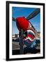 Nose Art on a Curtiss P-40E Warhawk-null-Framed Photographic Print