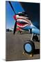 Nose Art on a Curtiss P-40E Warhawk-null-Mounted Photographic Print