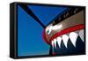 Nose Art on a Curtiss P-40E Warhawk-null-Framed Stretched Canvas