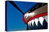 Nose Art on a Curtiss P-40E Warhawk-null-Stretched Canvas