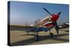 Nose Art on a Curtiss P-40E Warhawk-null-Stretched Canvas