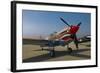 Nose Art on a Curtiss P-40E Warhawk-null-Framed Photographic Print