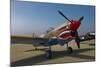 Nose Art on a Curtiss P-40E Warhawk-null-Mounted Photographic Print