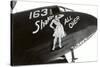 Nose Art, Shake All Over, Hula Girl-null-Stretched Canvas