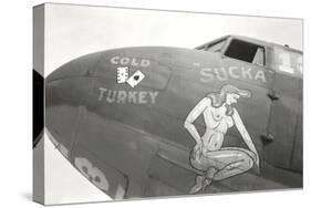 Nose Art, Sucka, Pin-Up-null-Stretched Canvas