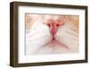 Nose Cat-Samsonovs-Framed Photographic Print