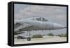 Nose Cone of a Royal Saudi Air Force F-15C-Stocktrek Images-Framed Stretched Canvas