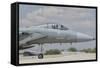 Nose Cone of a Royal Saudi Air Force F-15C-Stocktrek Images-Framed Stretched Canvas