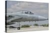 Nose Cone of a Royal Saudi Air Force F-15C-Stocktrek Images-Stretched Canvas