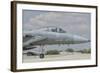 Nose Cone of a Royal Saudi Air Force F-15C-Stocktrek Images-Framed Photographic Print