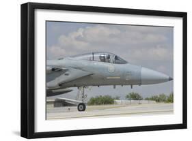 Nose Cone of a Royal Saudi Air Force F-15C-Stocktrek Images-Framed Photographic Print