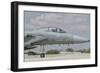 Nose Cone of a Royal Saudi Air Force F-15C-Stocktrek Images-Framed Photographic Print