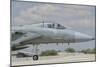 Nose Cone of a Royal Saudi Air Force F-15C-Stocktrek Images-Mounted Photographic Print