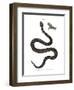 Nose-Horned Viper-null-Framed Premium Giclee Print