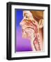 Nose, Mouth And Throat-John Bavosi-Framed Premium Photographic Print