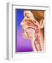 Nose, Mouth And Throat-John Bavosi-Framed Premium Photographic Print