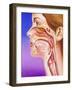 Nose, Mouth And Throat-John Bavosi-Framed Photographic Print