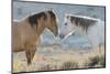 Nose to nose Sand Wash Basin wild mustangs-Ken Archer-Mounted Photographic Print