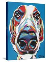 Nosey Dog I-Carolee Vitaletti-Stretched Canvas