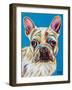 Nosey Dog III-Carolee Vitaletti-Framed Art Print