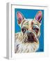 Nosey Dog III-Carolee Vitaletti-Framed Art Print