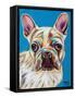 Nosey Dog III-Carolee Vitaletti-Framed Stretched Canvas