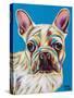 Nosey Dog III-Carolee Vitaletti-Stretched Canvas