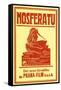 Nosferatu, a Symphony of Horror, German Movie Poster, 1922-null-Framed Stretched Canvas