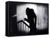 Nosferatu, Max Schreck, 1922-null-Framed Stretched Canvas