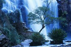 Australia Waterfall in Forest-Nosnibor137-Photographic Print