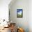 Nossa Senhora Das Dores Chapel, Paraty, Rio De Janeiro State, Brazil, South America-Gabrielle and Michel Therin-Weise-Framed Stretched Canvas displayed on a wall