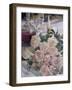 Nostalgia-Rosemary Lowndes-Framed Giclee Print