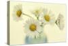 Nostalgic Daisies  Still Life-Cora Niele-Stretched Canvas