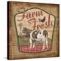 Nostalgic Farm II-Todd Williams-Stretched Canvas