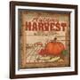 Nostalgic Harvest II-Todd Williams-Framed Art Print
