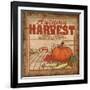 Nostalgic Harvest II-Todd Williams-Framed Art Print