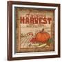 Nostalgic Harvest II-Todd Williams-Framed Art Print