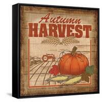 Nostalgic Harvest II-Todd Williams-Framed Stretched Canvas