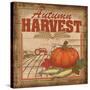 Nostalgic Harvest II-Todd Williams-Stretched Canvas