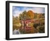 Nostalgic Mirror-Michael Blanchette Photography-Framed Photographic Print