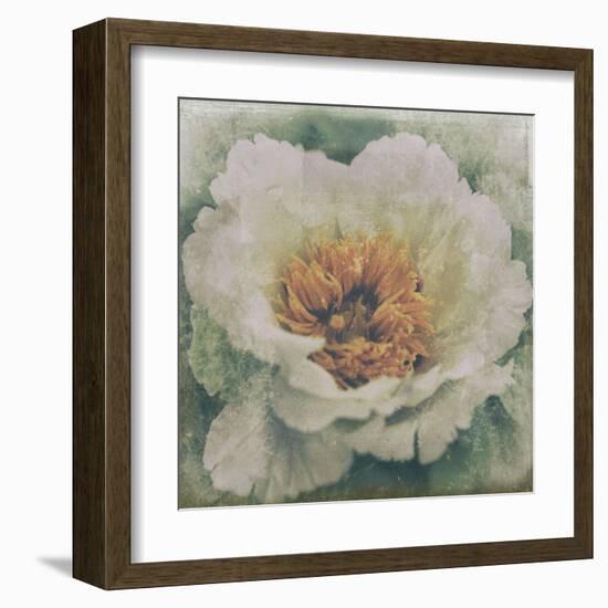 Nostalgic Peony Blossom-null-Framed Art Print